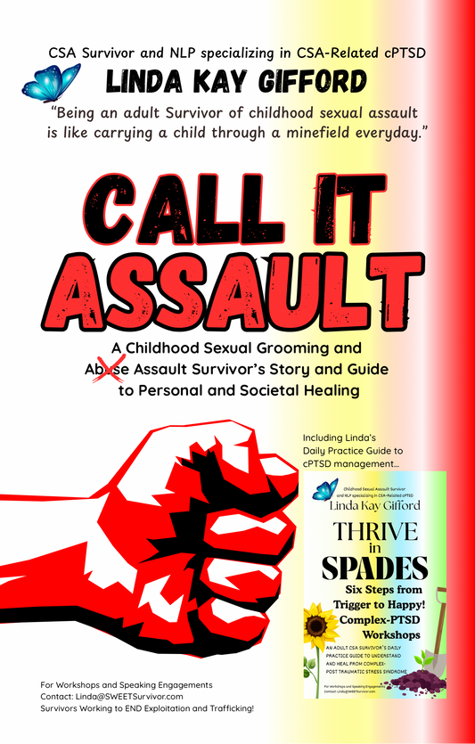 Call It Assault! ~ Book Description